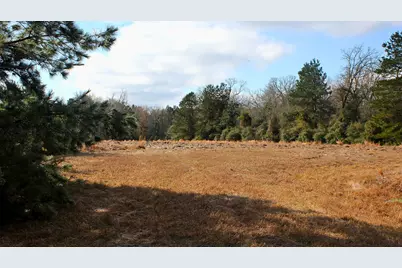 Tbd La Petite Court, Trinity, TX 75862 - Photo 1