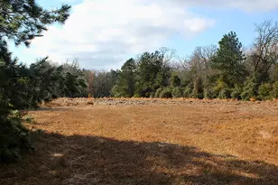 Tbd La Petite Ct, Trinity, TX 75862 - Photo 1