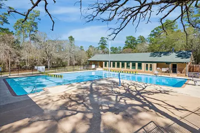 24030 Willow Rose Drive, Spring, TX 77389 - Photo 36