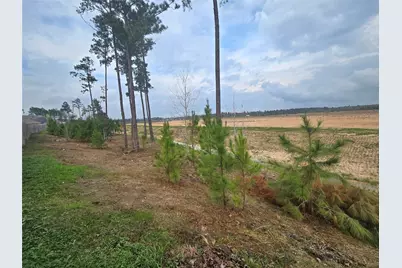 20232 Torrey Pines Lane, Cleveland, TX 77327 - Photo 30