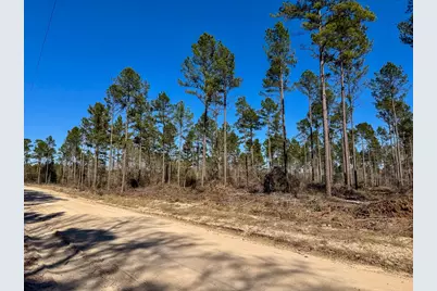01 Boontown Road, Trinity, TX 75845 - Photo 8