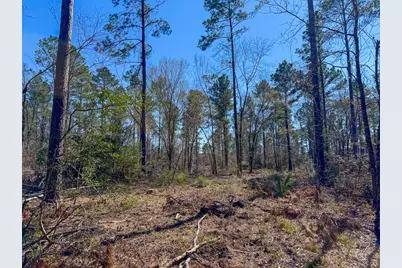 01 Boontown Road, Trinity, TX 75845 - Photo 6
