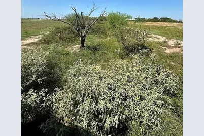 1993 Fm 2761, Cat Spring, TX 78933 - Photo 10