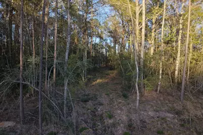 186 Bunkhouse Road, New Waverly, TX 77358 - Photo 8