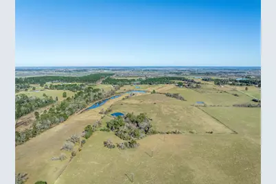 10802 County Road 203, Plantersville, TX 77363 - Photo 20