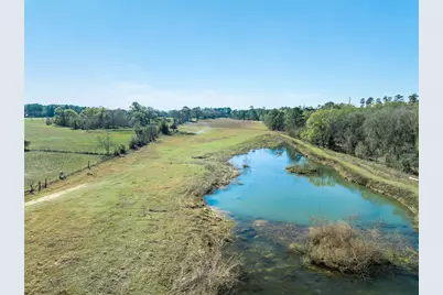 10802 County Road 203, Plantersville, TX 77363 - Photo 26