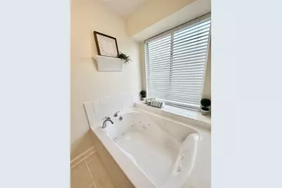 1901 Palo Duro Street, Friendswood, TX 77546 - Photo 24