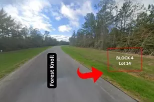 15628 Frst Knl Rd, Willis, TX 77378 - Photo 4