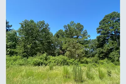 Lot 8 County Road 114, Centerville, TX 75833 - Photo 4
