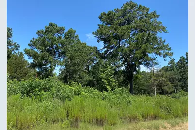 Lot 8 County Road 114, Centerville, TX 75833 - Photo 2
