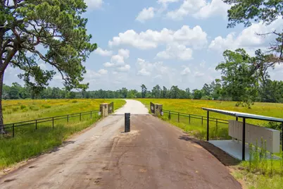 Lot 8 County Road 114, Centerville, TX 75833 - Photo 2