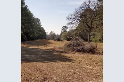 Lot 8 County Road 114, Centerville, TX 75833 - Photo 8