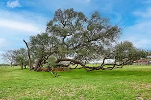 341 Co Rd 233, Hallettsville, TX 77964 - Photo 40