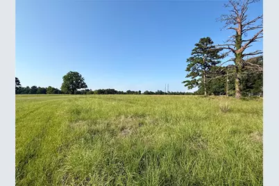 Tbd Hot Springs Drive, Trinity, TX 75862 - Photo 4