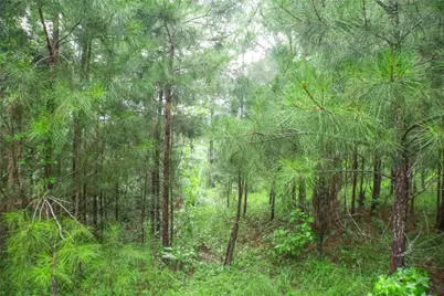 155 Dobbin, Livingston, TX 77351 - Photo 30