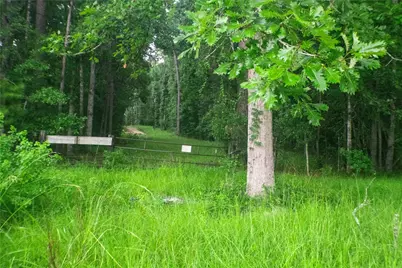 155 Dobbin, Livingston, TX 77351 - Photo 26