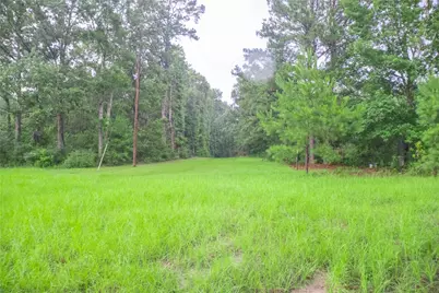 155 Dobbin, Livingston, TX 77351 - Photo 28