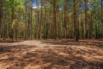 6888 County Road 344, Navasota, TX 77868 - Photo 22