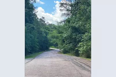 43 Shetland Lane, Coldspring, TX 77331 - Photo 4