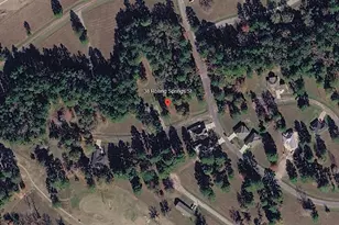 38 Rolling Springs, Trinity, TX 75862 - Photo 1