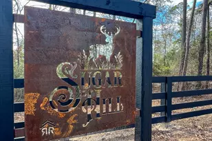 01 Fm 350, Livingston, TX 77351 - Photo 1