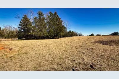 Tbd #3 County Road 477, Henderson, TX 75654 - Photo 8