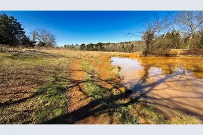 Tbd #3 County Road 477, Henderson, TX 75654 - Photo 14