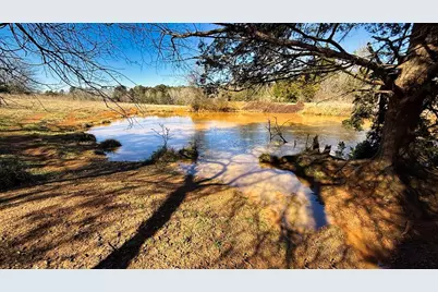 Tbd #3 County Road 477, Henderson, TX 75654 - Photo 16