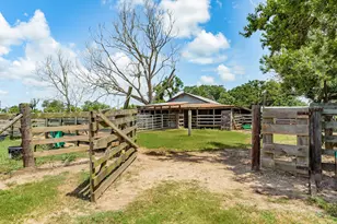 438 County Rd 164, Cedar Lane, TX 77414 - Photo 14