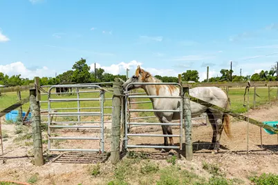 438 County Road 164, Cedar Lane, TX 77414 - Photo 28