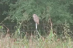 278 Country Way, Smithville, TX 78957 - Photo 16