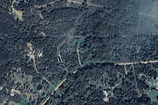 278 Country Way, Smithville, TX 78957 - Photo 4