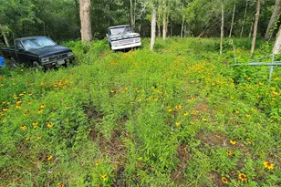 278 Country Way, Smithville, TX 78957 - Photo 8