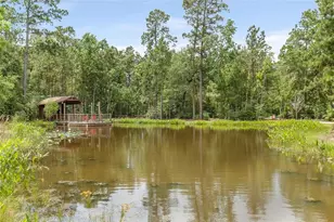 16307 Pintado Forest Rd, Humble, TX 77346 - Photo 40