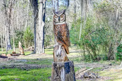 53 Smith Loop N, Cleveland, TX 77327 - Photo 38