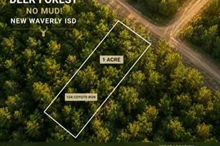 104 Coyote Run, New Waverly, TX 77358 - Photo 1