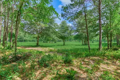 Tract C Sharp View Road, Montgomery, TX 77356 - Photo 8
