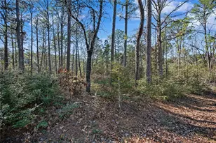 Pid #32465 Duffer Dr, Brookeland, TX 75931 - Photo 4