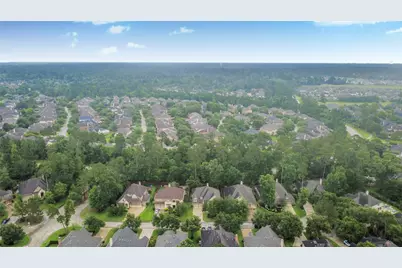 18 Blue Wildflower Place, The Woodlands, TX 77354 - Photo 8
