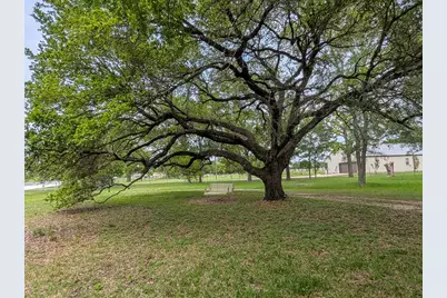 1139 County Rd 403, Anderson, TX 77830 - Photo 2