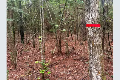 Tbd Peyton Lane, Woodville, TX 75979 - Photo 10