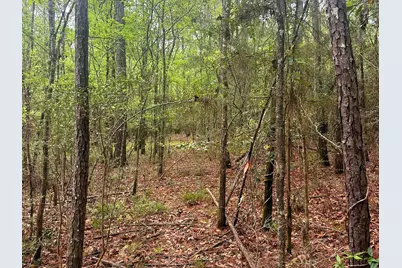 Tbd Peyton Lane, Woodville, TX 75979 - Photo 6