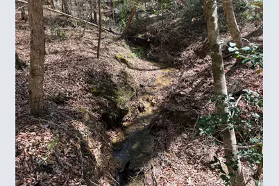 Tbd E Fm 1988, Goodrich, TX 77335 - Photo 20