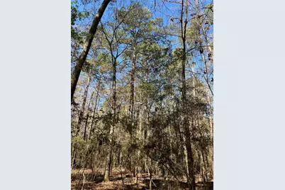 Tbd E Fm 1988, Goodrich, TX 77335 - Photo 16