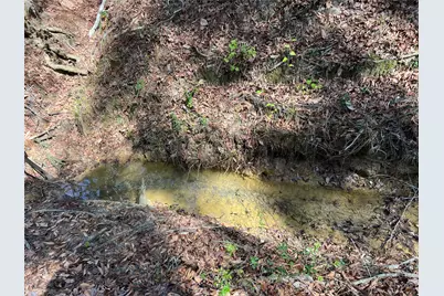 Tbd E Fm 1988, Goodrich, TX 77335 - Photo 18