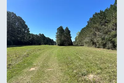 Tbd E Fm 1988, Goodrich, TX 77335 - Photo 4