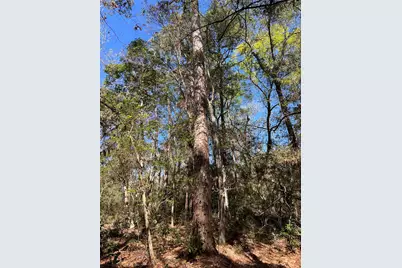 Tbd E Fm 1988, Goodrich, TX 77335 - Photo 22