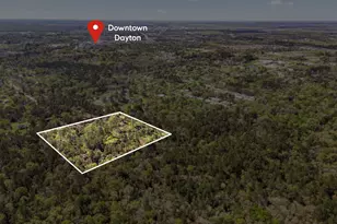 0 Cherry Creek Rd, Dayton, TX 77535 - Photo 1