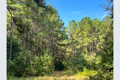 T-1 Cr 2150, Woodville, TX 75979 - Photo 20