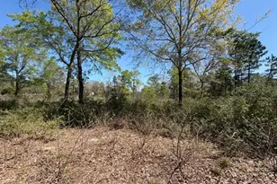 5616 Tall Pine Rd, Navasota, TX 77868 - Photo 28